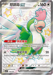 Squawkabilly ex — Pacchetto Speciale Avventura