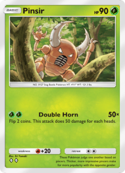 Pinsir A1 026