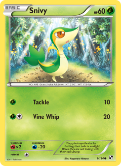 Snivy BLW 1