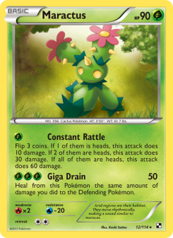 Maractus BLW 12
