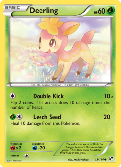 Deerling BLW 13
