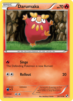 Darumaka BLW 24