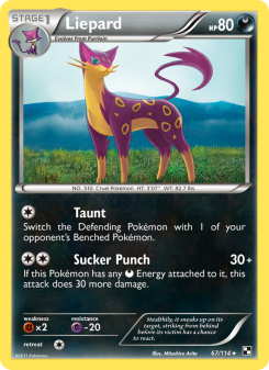 Liepard BLW 67