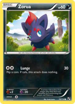 Zorua BLW 70