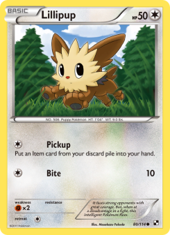 Lillipup BLW 80
