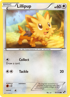 Lillipup BLW 81