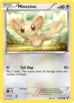 Minccino BLW 88