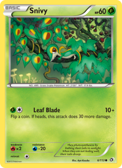 Snivy LTR 6