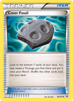 Cover Fossil NVI 90