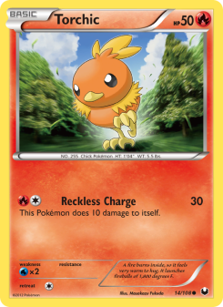 Torchic DEX 14