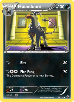 Houndoom DRX 75