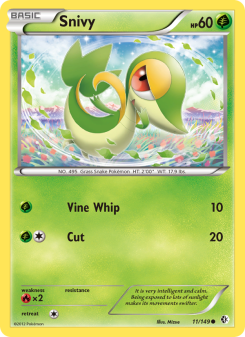 Snivy BCR 11