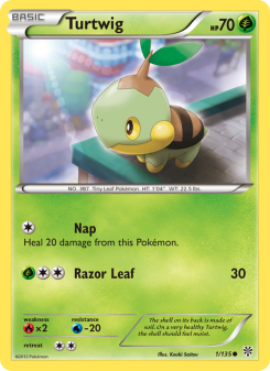 Turtwig PLS 1