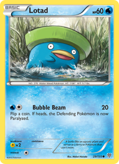 Lotad PLS 29