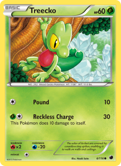 Treecko PLF 6