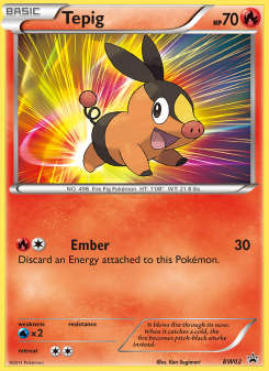 Tepig BWP BW02