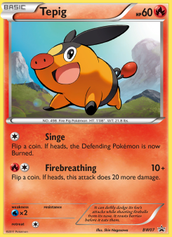 Tepig BWP BW07