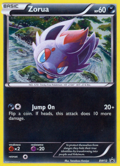 Zorua BWP BW12