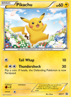 Pikachu BWP BW77