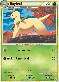 Bayleef CL 40