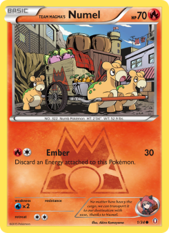 Team Magma's Numel DC1 1