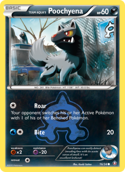 Team Aqua's Poochyena DC1 16