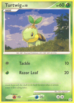 Turtwig DP 103