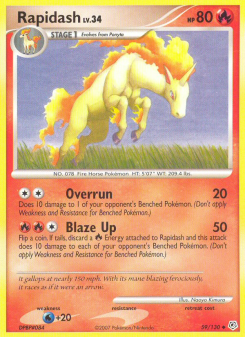 Rapidash DP 59