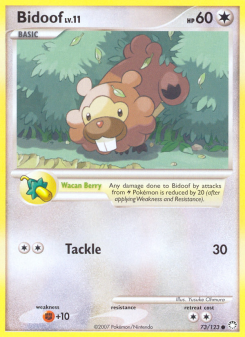 Bidoof MT 73