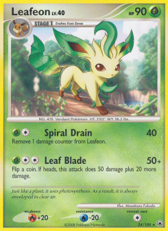 Leafeon MD 24