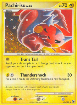 Pachirisu MD 43