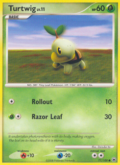 Turtwig MD 77