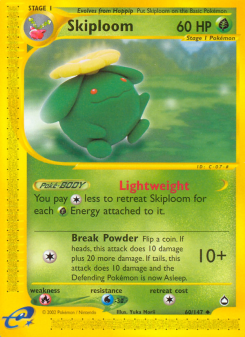 Skiploom ECARD2 60