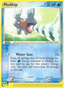 Mudkip DR 65