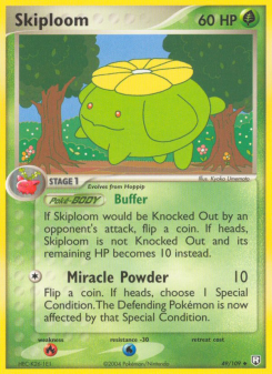 Skiploom TRR 49