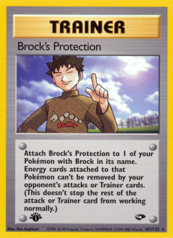 Brock's Protection GYM2 101