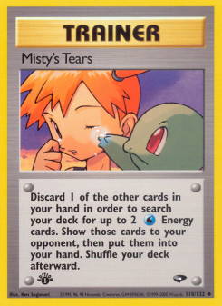 Misty's Tears GYM2 118