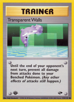 Transparent Walls GYM2 125