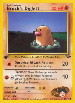 Brock's Diglett GYM2 67