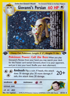 Giovanni's Persian GYM2 8