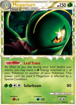 Meganium HS 109