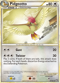 Pidgeotto TM 47