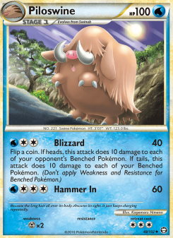 Piloswine TM 48
