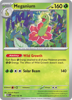 Meganium MEG 010