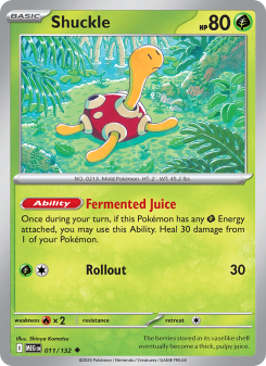 Shuckle MEG 011