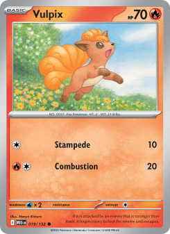 Vulpix MEG 019