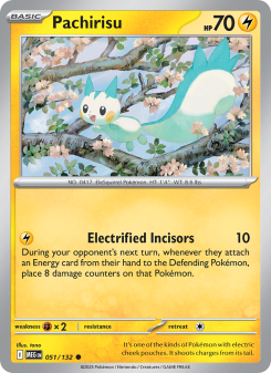 Pachirisu MEG 051