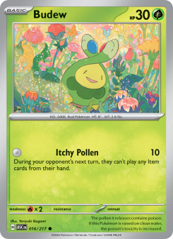 Budew ASC 016