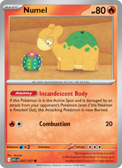 Numel ASC 027