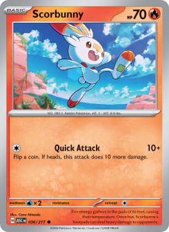 Scorbunny ASC 036